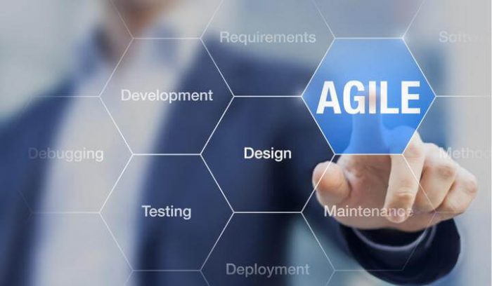Case: Agile transformation at SalesDoubler.  IT changes at a non-IT company.